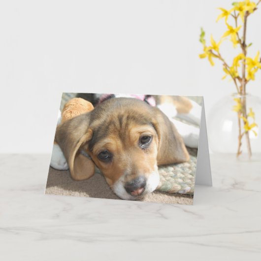 Carte d'Anniversaire Beagle (Fleur jaune)