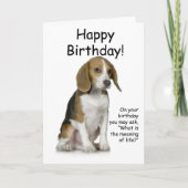 Carte d'anniversaire beagle (Devant)