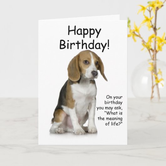 Carte d'anniversaire beagle (Fleur jaune)