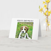 Carte d'anniversaire beagle (Fleur jaune)