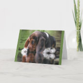Carte d'anniversaire beagle (Devant)