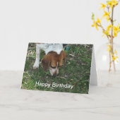 Carte d'anniversaire beagle (Fleur jaune)