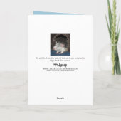 carte d'anniversaire bébé husbo Dumbo rat (Dos)