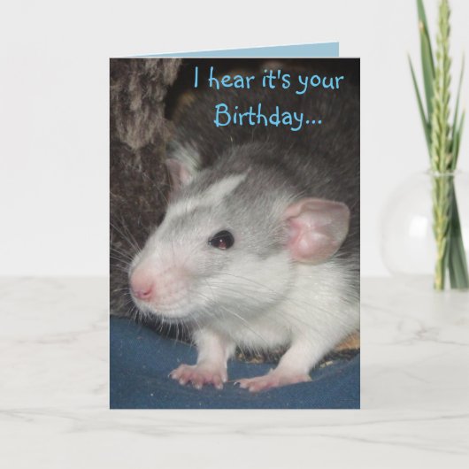 carte d'anniversaire bébé husbo Dumbo rat (Devant)