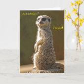 Carte d'anniversaire Belated Meerkat (Fleur jaune)