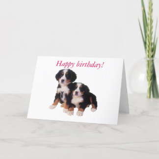 carte d'anniversaire berner sennen pups