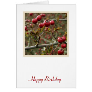 Carte d'anniversaire Berries