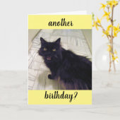 Carte d'anniversaire Black Cat Another (Fleur jaune)