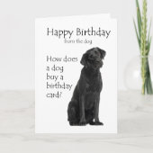 Carte d'anniversaire Black Lab (Devant)