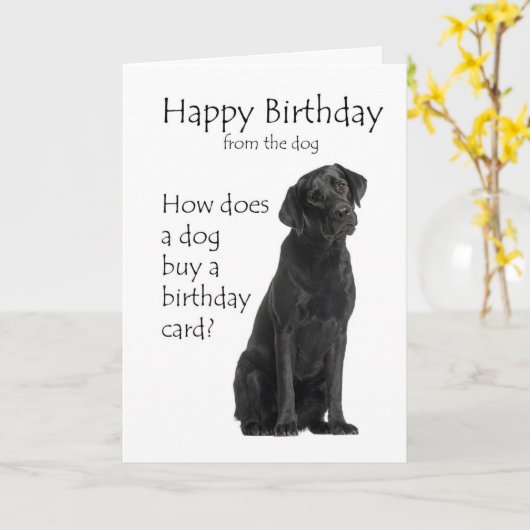 Carte d'anniversaire Black Lab (Fleur jaune)