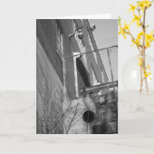 Carte d'anniversaire "Black & White Hamm's Brewery (Fleur jaune)