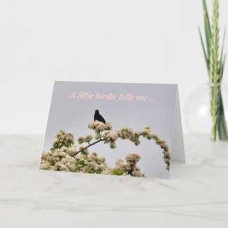 Carte d'anniversaire : Blackbird