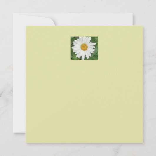 Carte d'anniversaire blanche à plat (Dos)