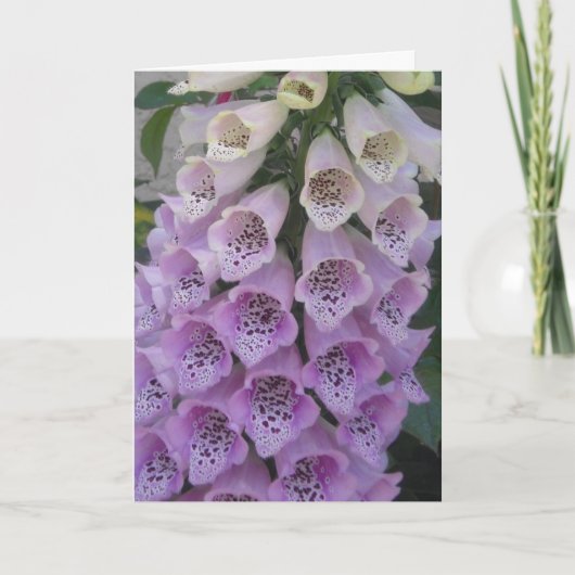 Carte d'anniversaire bleue de Bell (Devant)