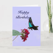 Carte d'anniversaire bleue de papillon de machaon (Devant)