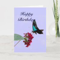 Carte d'anniversaire bleue de papillon de machaon