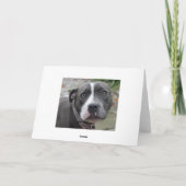 Carte d'anniversaire bleue irlandaise de chien du (Dos)