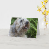 Carte d'anniversaire blonde comme les blés (Fleur jaune)