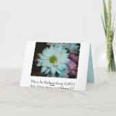 Carte d'anniversaire Blue and White Daisy (Dos)
