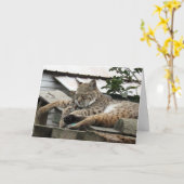 Carte d'anniversaire Bobcat Friends (Fleur jaune)