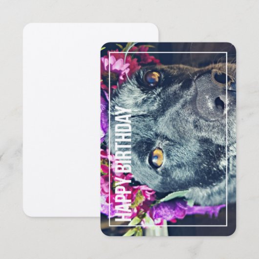 Carte d'anniversaire Boho Heeler (Devant / Derrière)