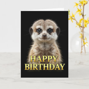 CARTE D'ANNIVERSAIRE BOLD DISTINCT MEERKAT