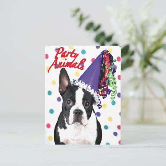 Carte d'anniversaire Boston Terrier (Debout devant)