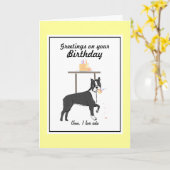Carte d'anniversaire Boston Terrier (Fleur jaune)