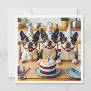 Carte d'anniversaire Boston Terrier, Boston terrie