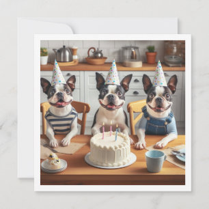 Carte d'anniversaire Boston Terrier, Boston terrie