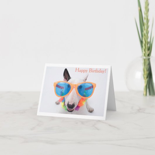 Carte d'anniversaire Bull Terrier (Devant)
