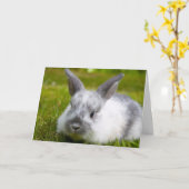 Carte d'anniversaire Bunny (Fleur jaune)
