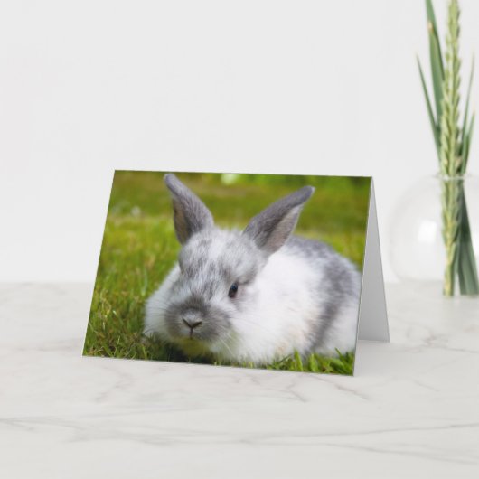 Carte d'anniversaire Bunny (Devant)