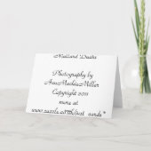 Carte d'anniversaire : Canards de Mallard (Dos)