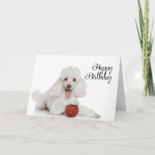 Carte d'anniversaire Caniche (Devant)