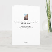 Carte d'anniversaire - Capri, Italie (Dos)