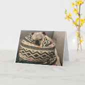 Carte d'anniversaire carlin - Happy Place (Fleur jaune)