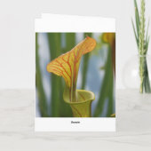 Carte d'anniversaire carnivore d'usine de broc (Dos)