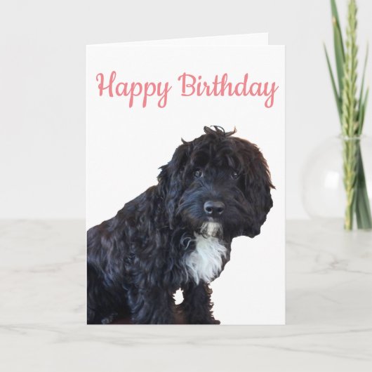 Carte d'anniversaire - Carte de vœux chiot Cockapo (Devant)