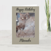 Carte d'anniversaire Cat Cat (Devant)