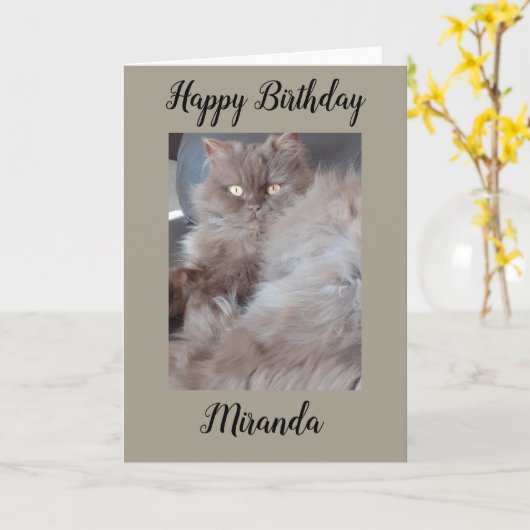 Carte d'anniversaire Cat Cat (Fleur jaune)