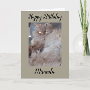 Carte d'anniversaire Cat Cat