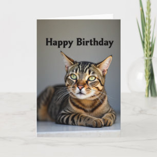 Carte d'anniversaire Chat aux Yeux Verts