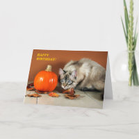 Carte d'anniversaire Chat et Citrouille