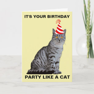 CARTE D'ANNIVERSAIRE CHAT FÊTE