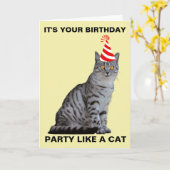 CARTE D'ANNIVERSAIRE CHAT FÊTE (Fleur jaune)