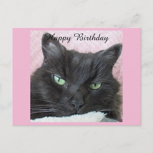 Carte d'anniversaire Chat Noir (Devant)