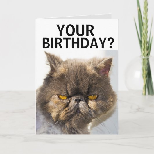 CARTE D'ANNIVERSAIRE CHAT PERSIEN (Devant)