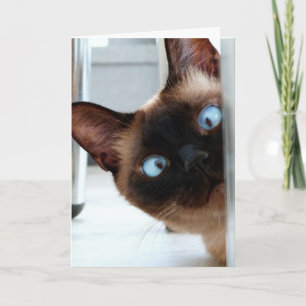 CARTE D'ANNIVERSAIRE CHAT SIAMOIS MIGNON