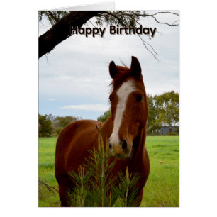 Carte d'anniversaire Cheval Alezan Reniflant un Ar